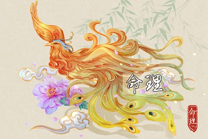 择吉老黄历皇历_择吉老皇历_择吉皇历